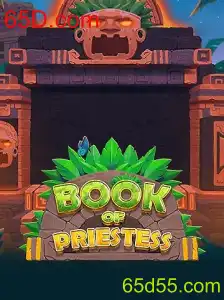 BookOfPriestess: Desvendando o Fascinante Mundo do Novo Jogo da 65D.com