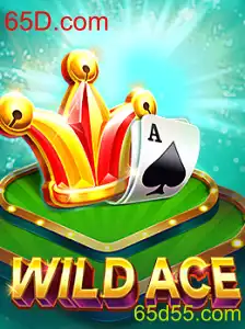 Descubra o Mundo de WildAce: O Jogo que Está Conquistando o 65D.com